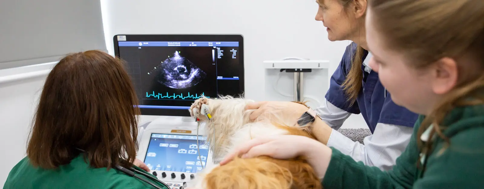 Cardiology